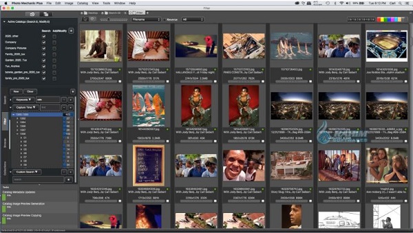 Photo Mechanic Plus cost