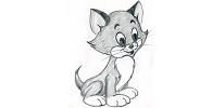 Laser Photo Wizard software Version 8