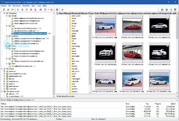 Extreme Picture Finder Review