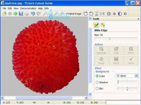 Picture Cutout Guide Free Download