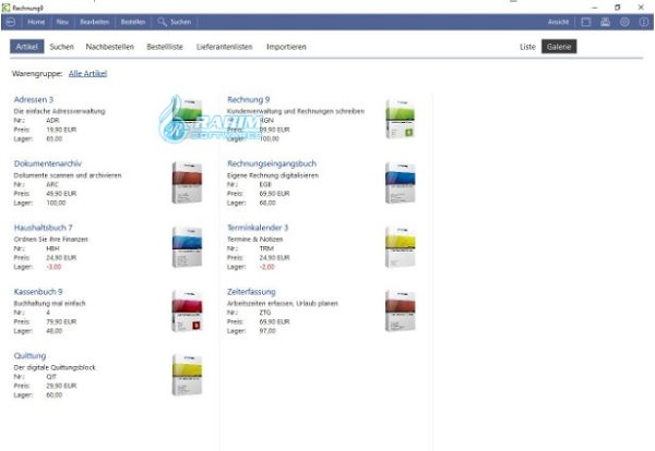 Softwarenetz Rechnung 9