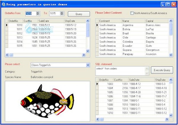 longtion application builder alternative