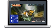 DikDik Software