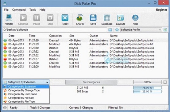 Download Disk Pulse Pro