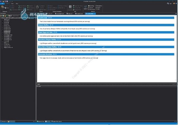 SAPIEN software