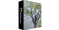 SpeedTree free download