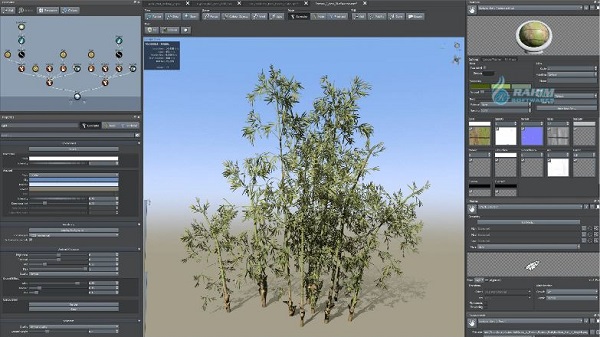 SpeedTree student