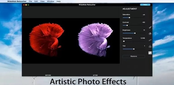 WidsMob Retoucher 1.3 Free Download