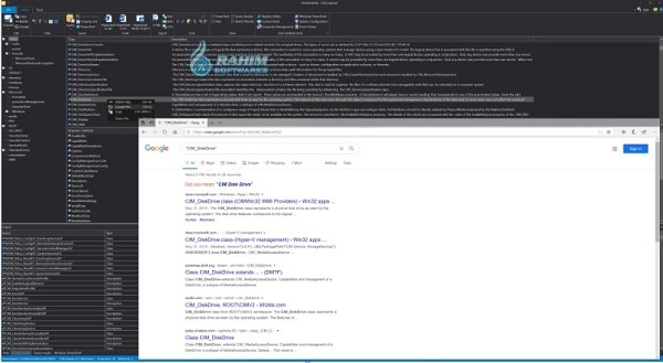 SAPIEN software