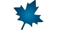 Maplesoft Maple 2020