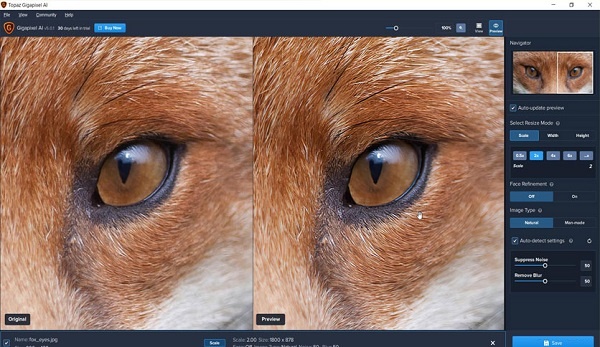 Topaz Gigapixel AI Free Download