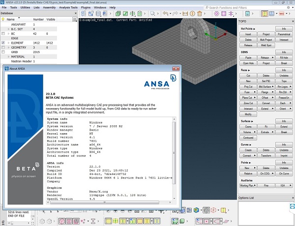 BETA CAE Systems 23
