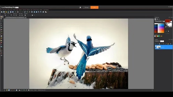 Corel PaintShop Pro 2023