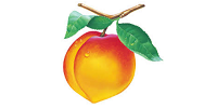 Peachtree 2010 Free Download for PC