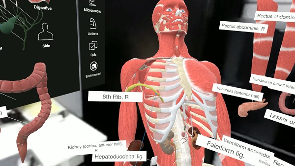 3d organon license key free