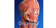 virtual reality anatomy education
