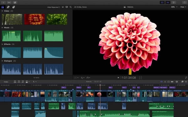 Final Cut Pro X 10.6.5