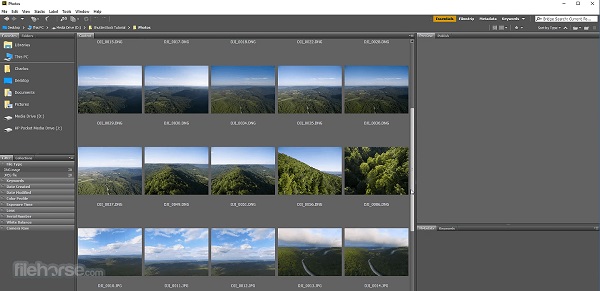 Adobe Bridge 2025
