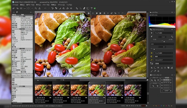 SILKYPIX RAW Converter 2025