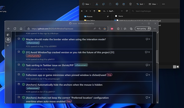 WindowTop Pro 2025