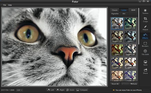 Fotor for Windows
