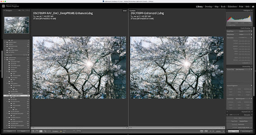 DxO PureRAW 2025