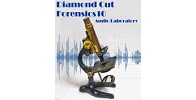 Diamond Cut Forensics Audio Laboratory